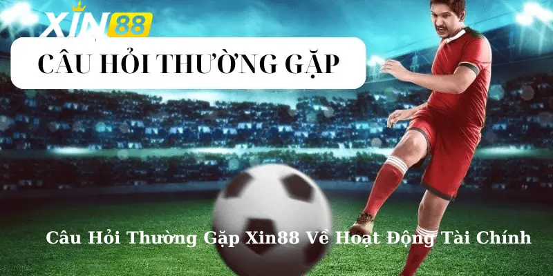 Câu hỏi thường gặp về hoạt động tài chính