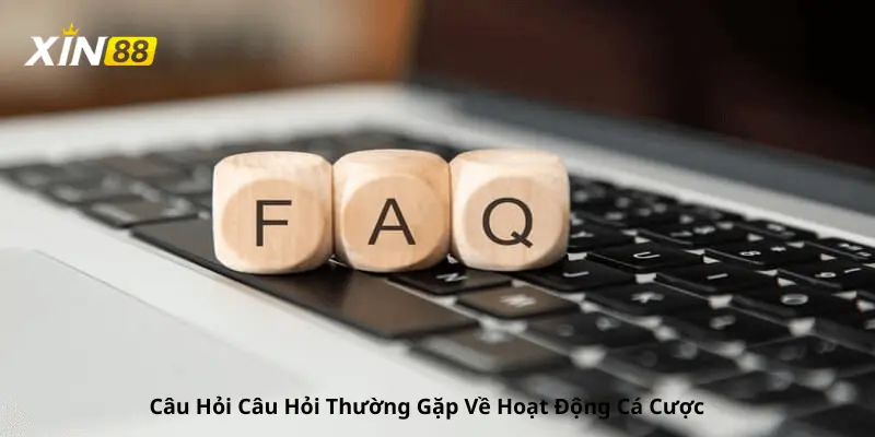 Câu hỏi thường gặp về hoạt động cá cược tại xin88