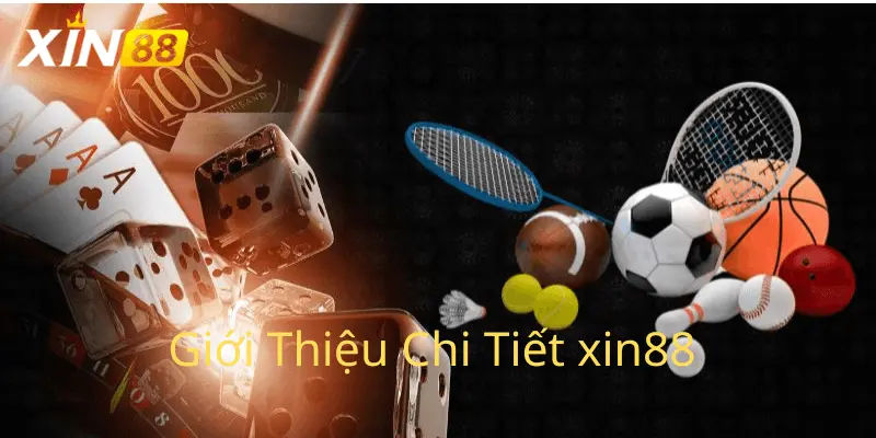 Giới thiệu chi tiết về nhà cái Xin88